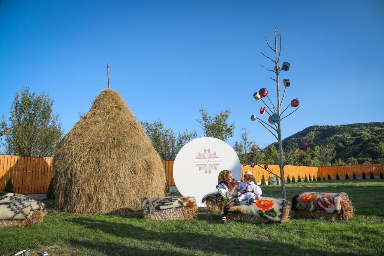 Pensiunea Maramures Affittacamere